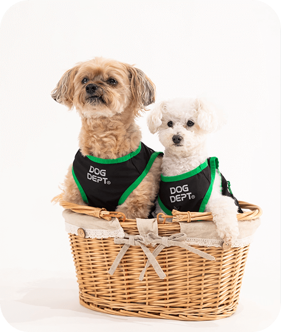 「ひなたほっこり」をはじめたきっかけ