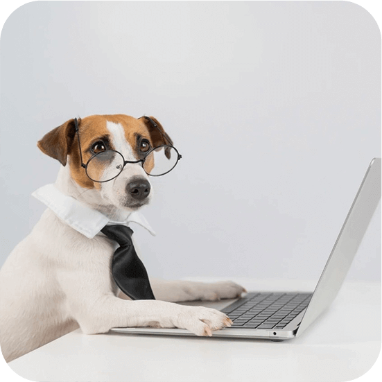 オンライン（zoom）塾とは？