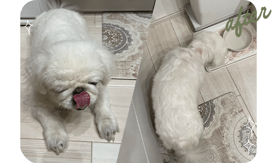 赤みが引いてつるん after