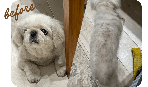 皮膚のかゆみ before