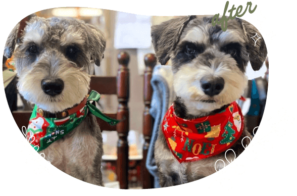 『ひげやけ』すっきり after