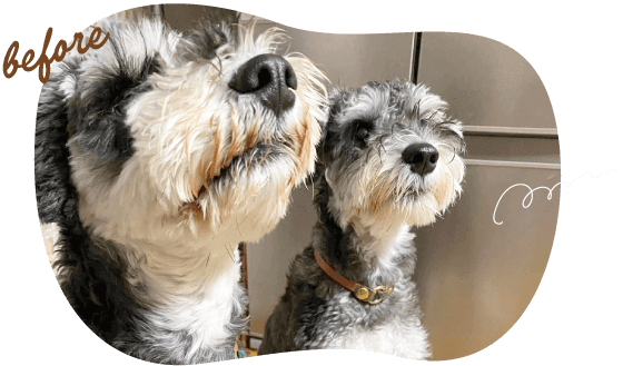 『ひげやけ』 before